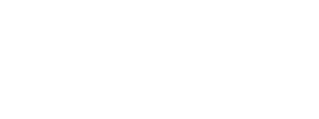 Endriss Logo Footer