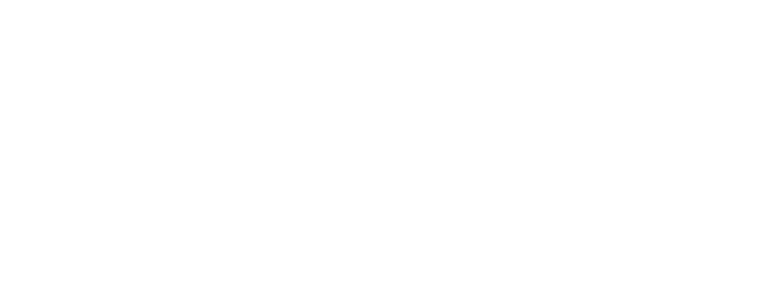 GFN Logo Footer