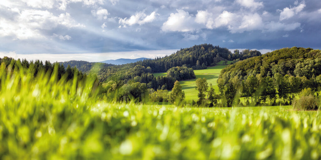 Nachhaltige-Finanzen-und-Lieferkette_1024x512-1