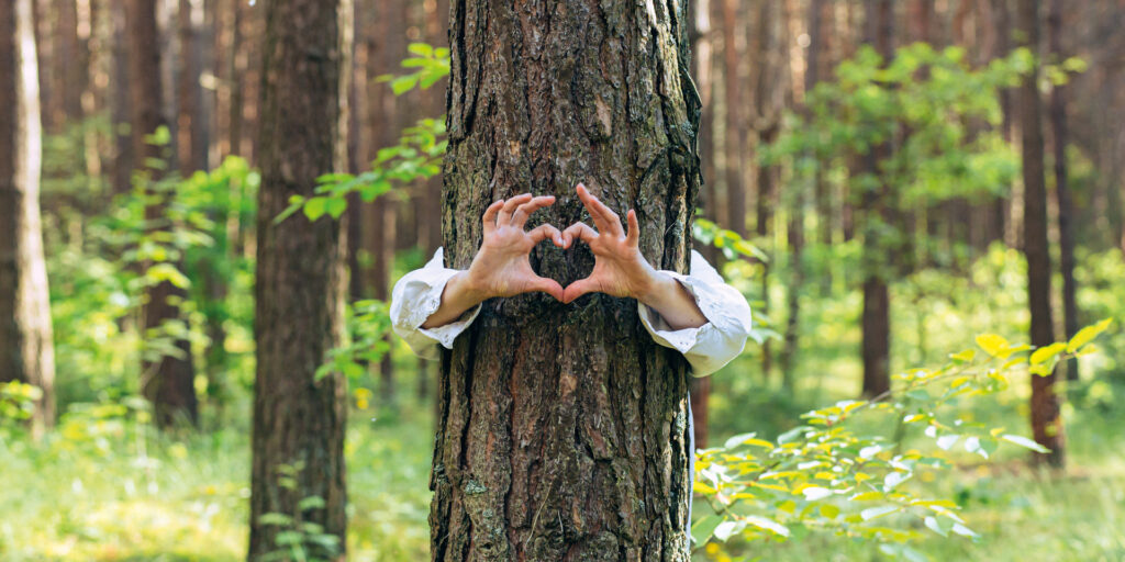 Wesentliche-Nachhaltigkeitsfaktoren_1024x512